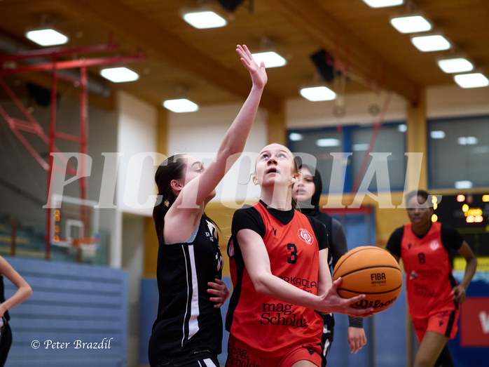 Basketball Superliga 2024/25, SLWU16 Traiskirchen Lionesses vs. BBC Nord Dragons


