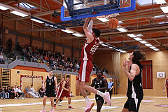 Basketball Zweite Liga 2024/25, Grunddurchgang 21.Runde Mistelbach Mustangs vs. Raiders Tirol


