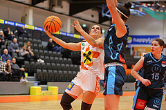 Basketball Austria Cup 2023/24, Viertelfinale BK Duchess Klosterneuburg vs. Vienna Timberwolves


