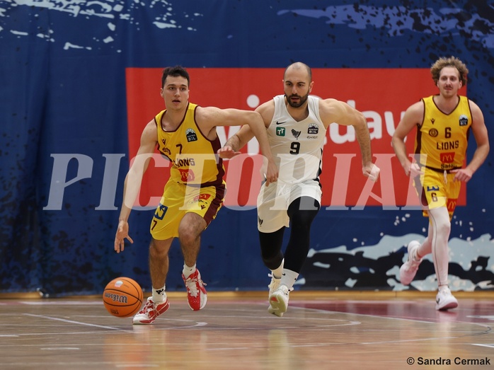 Basketball Zweite Liga 2024/25, Grunddurchgang 17.Runde Traiskirchen Lions NextGen vs. Raiders Tirol


