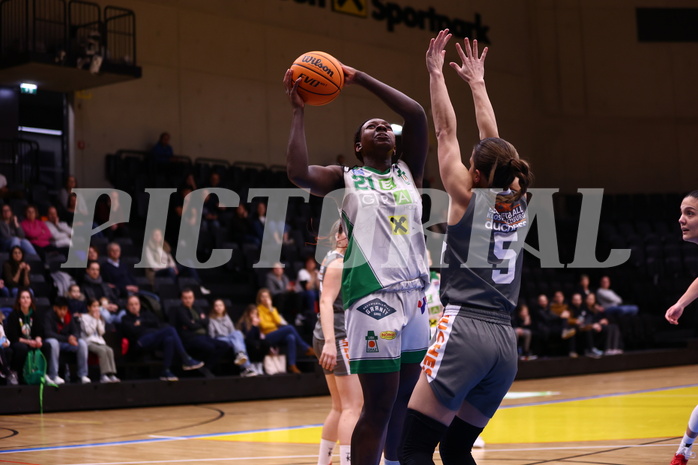 03.02.2024, Graz, Raiffeisen Sportpark, Basketball Damen Superliga 2023/24, Grunddurchgang 11.Runde, UBI Holding Graz - BK Raiffeisen Duchess Klosterneuburg ,  