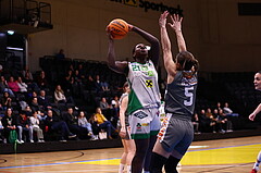 03.02.2024, Graz, Raiffeisen Sportpark, Basketball Damen Superliga 2023/24, Grunddurchgang 11.Runde, UBI Holding Graz - BK Raiffeisen Duchess Klosterneuburg ,  