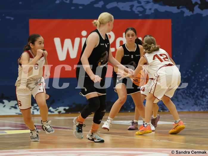 Basketball Superliga 2024/25, SLWU14 Traiskirchen Lionesses vs. ATUS Gratkorn Scorpions


