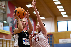 Basketball Superliga 2024/25, SLWU14 Traiskirchen Lionesses vs. DBK Steyrer Witches



