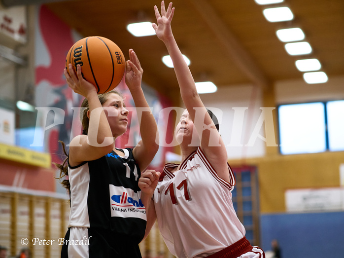 Basketball Superliga 2024/25, SLWU14 Traiskirchen Lionesses vs. DBK Steyrer Witches


