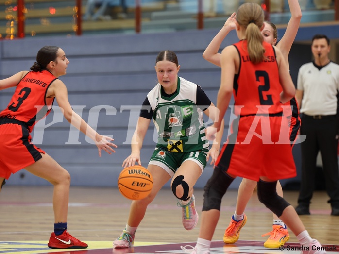 Basketball Superliga 2024/25, SLWU14 Traiskirchen Lionesses vs. UBI Graz