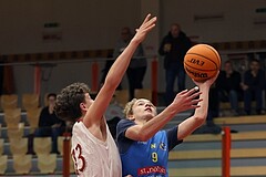 Basketball Superliga 2024/25, SLMU16 Traiskirchen Lions vs. St. Pölten


