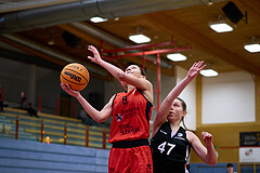 Basketball Superliga 2024/25, SLWU16 Traiskirchen Lionesses vs. BBC Nord Dragons


