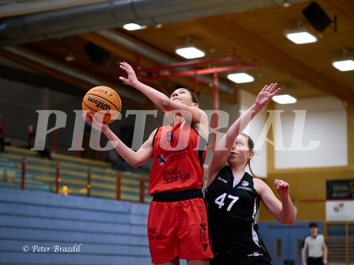 Basketball Superliga 2024/25, SLWU16 Traiskirchen Lionesses vs. BBC Nord Dragons


