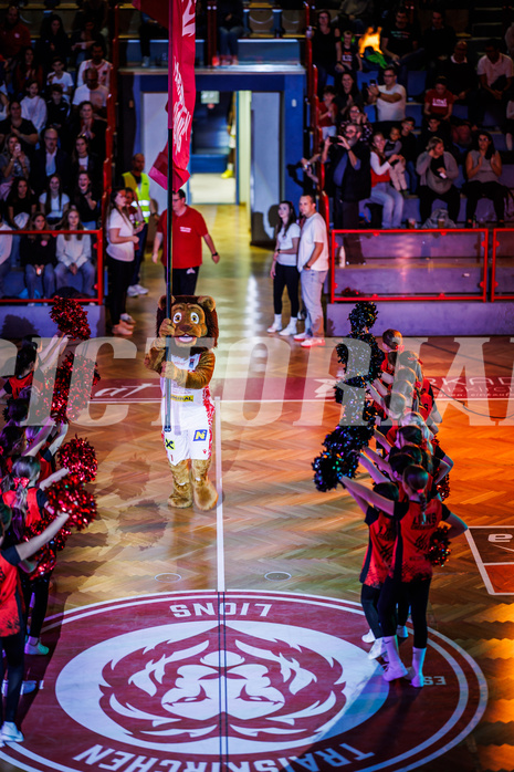 Basketball, Win2Day Superliga 2024/25, Grunddurchgang 4.Runde, Traiskirchen Lions, St. Pölten, 