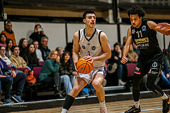 Basketball Zweite Liga 2024/25, Grunddurchgang 15.Runde Vienna United vs. Mattaersburg Rocks


