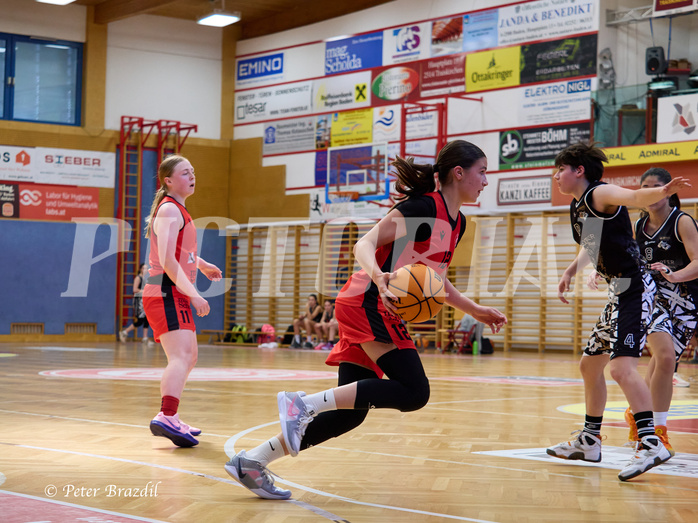 Basketball Superliga 2024/25, SLMU16 Traiskirchen Lionesses vs. VKL Vikings Kammer