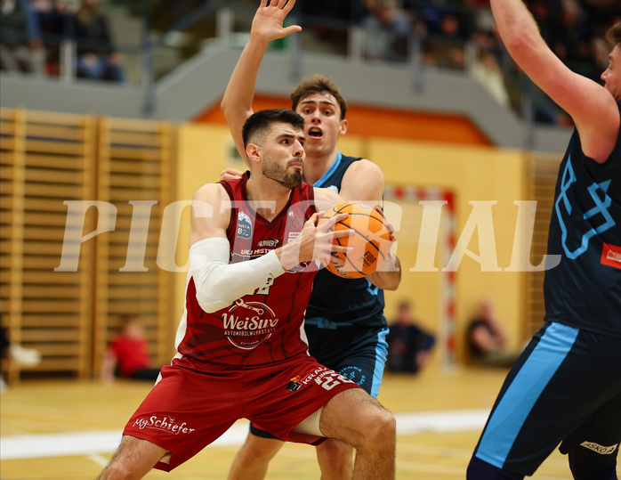 Basketball Zweite Liga 2024/25, Grunddurchgang 15.Runde Mistelbach Mustangs vs. Vienna Timberwolves


