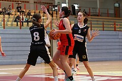 Basketball Superliga 2024/25, SLWU16 Traiskirchen Lionesses vs. DBK Steyrer Witch Cadets


