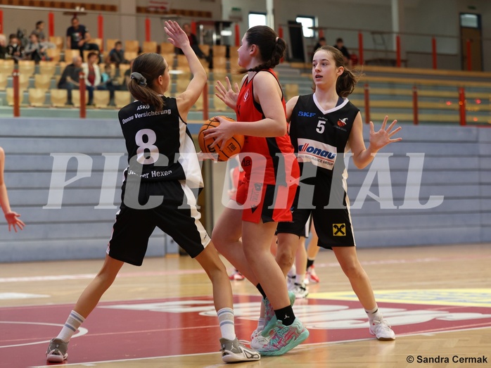 Basketball Superliga 2024/25, SLWU16 Traiskirchen Lionesses vs. DBK Steyrer Witch Cadets


