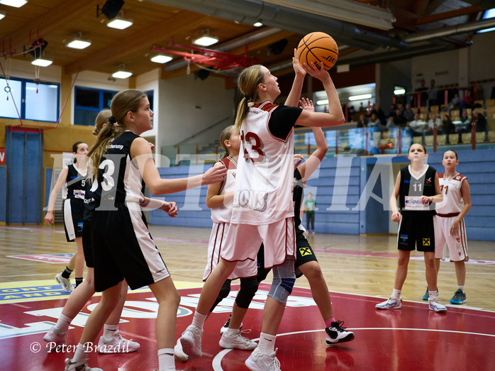 Basketball Superliga 2024/25, SLWU14 Traiskirchen Lionesses vs. DBK Steyrer Witches


