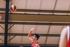 Basketball Basketball Superliga 2020/21, Grunddurchgang 8.Runde D.C. Timberwolves vs. Traiskirchen Lions