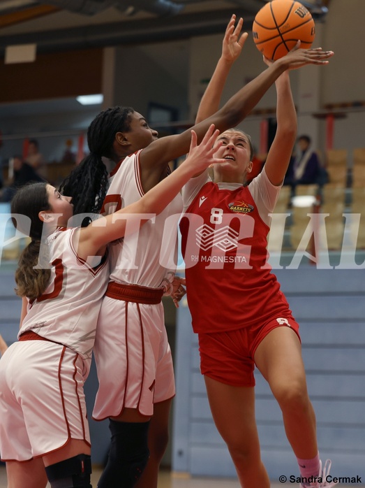 Basketball Superliga 2024/25, SLWU16 Traiskirchen Lions Young & Wild vs. Radenthein Garnet