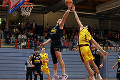 Basketball Zweite Liga 2024/25, Grunddurchgang 14.Runde Traiskirchen Lions NextGen vs. Mattersburg Rocks


