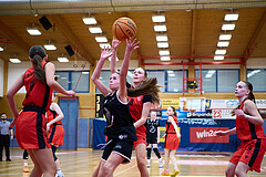 Basketball Superliga 2024/25, SLWU14 Traiskirchen Lionesses vs. Gratkorn Scorpions


