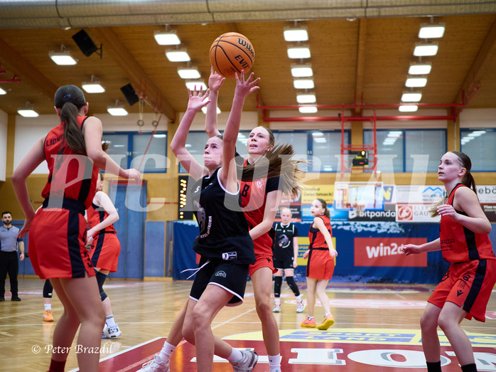 Basketball Superliga 2024/25, SLWU14 Traiskirchen Lionesses vs. Gratkorn Scorpions


