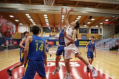 Basketball Superliga 2024/25, SLMU16 Traiskirchen Lions vs. St. Pölten


