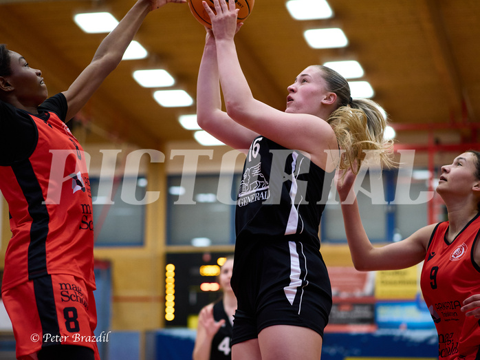 Basketball Superliga 2024/25, SLWU16 Traiskirchen Lionesses vs. BBC Nord Dragons


