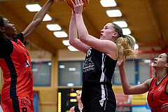 Basketball Superliga 2024/25, SLWU16 Traiskirchen Lionesses vs. BBC Nord Dragons



