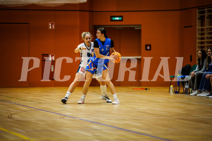 Basketball, Win2Day Basketball Damen Superliga 2023/24, Grunddurchgang 2.Runde, Vienna Timberwolves, DBB LZ OÖ, Johanna Mölls (4), Emma-Fee Stockinger (5)