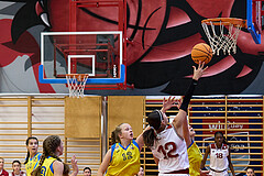 Basketball Superliga 2024/25, SLWU16 Traiskirchen Lionesses vs. UBBC Herzogenburg


