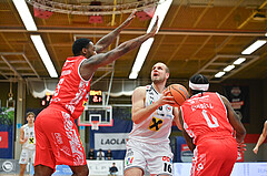 Basketball, Superliga 2024/25, Grunddurchgang 10.Runde, Flyers Wels vs. Traiskirchen Lions,
