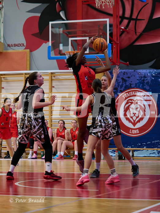 Basketball Superliga 2024/25, SLMU16 Traiskirchen Lionesses vs. VKL Vikings Kammer



