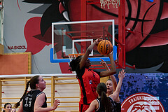 Basketball Superliga 2024/25, SLMU16 Traiskirchen Lionesses vs. VKL Vikings Kammer


