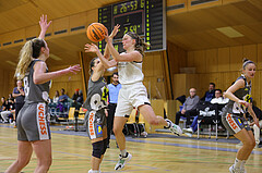 Basketball Damen Superliga 2023/24, Grunddurchgang .Runde Basket Flames vs. Duchess Klosterneuburg


