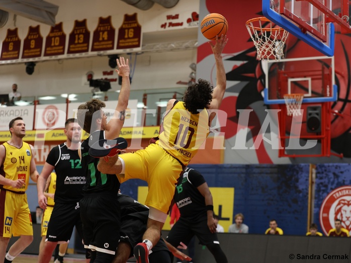 Basketball Zweite Liga 2024/25, Grunddurchgang 12.Runde Traiskirchen Lions NextGen vs. Deutsch Wagram Alligators