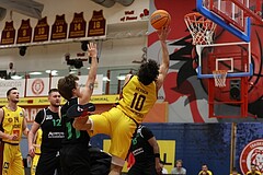 Basketball Zweite Liga 2024/25, Grunddurchgang 12.Runde Traiskirchen Lions NextGen vs. Deutsch Wagram Alligators


