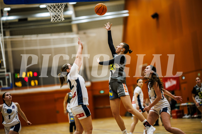 Basketball, Win2Day Basketball Damen Superliga 2024/25, Grunddurchgang 9.Runde, Vienna Timberwolves, Klosterneuburg Duchess, Tena Sanseovic (22)