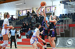 Basketball Superliga 2023/24, Grunddurchgang 11.Runde,DBB LZ OÖ vs Vienna United,