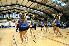 Basketball 2.Bundesliga 2016/17, Grundurchgang 1.Runde D.C. Timberwolves vs. UBC St.Pölten