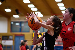 Basketball Superliga 2024/25, SLWU16 Traiskirchen Lionesses vs. BBC Nord Dragons


