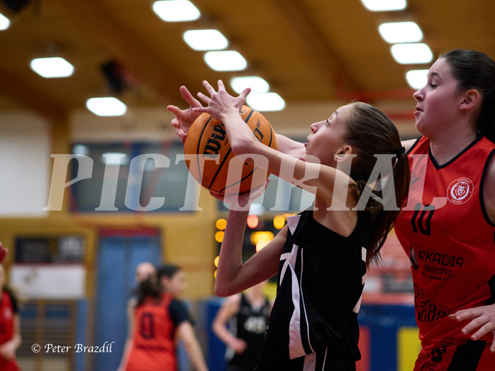 Basketball Superliga 2024/25, SLWU16 Traiskirchen Lionesses vs. BBC Nord Dragons


