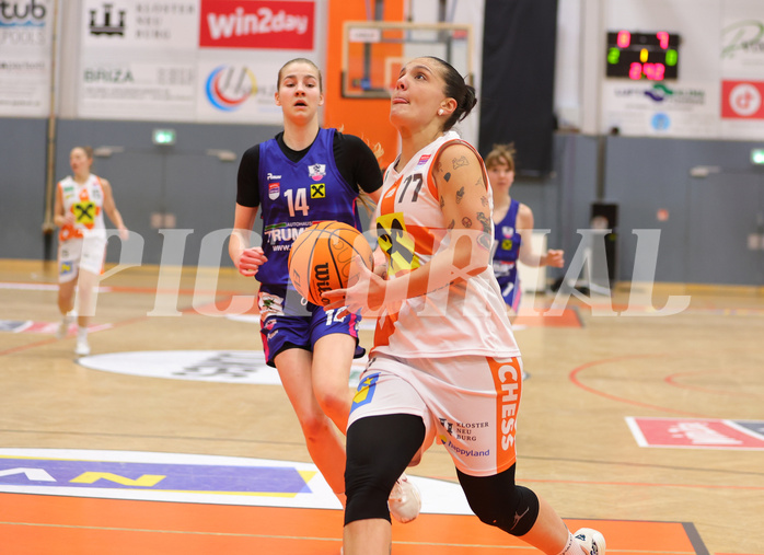 Basketball Damen Superliga 2023/24, Grunddurchgang 12.Runde BK Duchess Klosterneuburg vs. UBSC Graz


