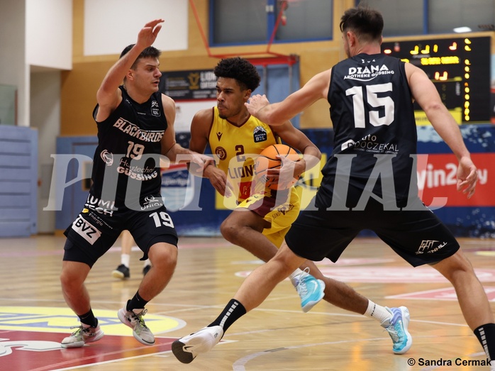 Basketball Zweite Liga 2024/25, Grunddurchgang 11.Runde Traiskirchen Lions NextGen vs. Güssing Blackbirds