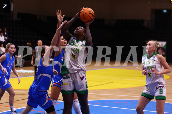 18.11.2023, Graz, Raiffeisen Sportpark, Basketball Damen Superliga 2022/23, Grunddurchgang, 4.Runde, UBI Holding Graz vs. DBB OCS Diamond Ladies Wels ,  