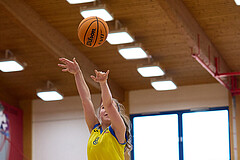 Basketball Superliga 2024/25, SLWU16 Traiskirchen Lionesses vs. UBBC Herzogenburg


