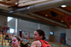 Basketball Superliga 2024/25, SLMU16 Traiskirchen Lionesses vs. VKL Vikings Kammer



