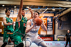 Basketball, bet-at-home Basketball Superliga 2021/22, Playoffs, Viertelfinale Spiel 3, Oberwart Gunners, Kapfenberg Bulls, Tyler Creammer (10)