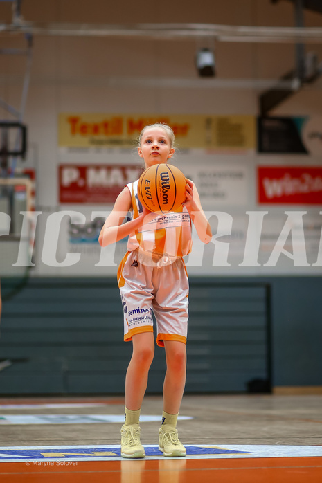 15.12.2024 Österreichischer Basketballverband 2024/25, SLWU14 Basket Duchess vs. Gratkorn Scorpions