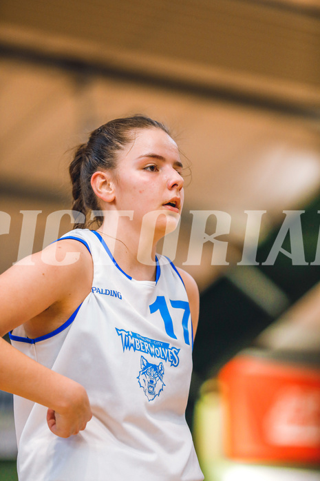 Basketball Basketball Superliga 2020/21, Grunddurchgang 6.Runde Vienna D.C. Timberwolves vs. KOS Celovec
