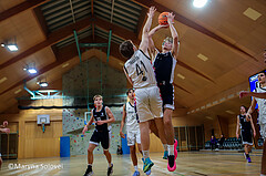 09.11.2024 Österreichischer Basketballverband 2024/25, SLMU19, SU Döbling vs BBC Nord Dragonz